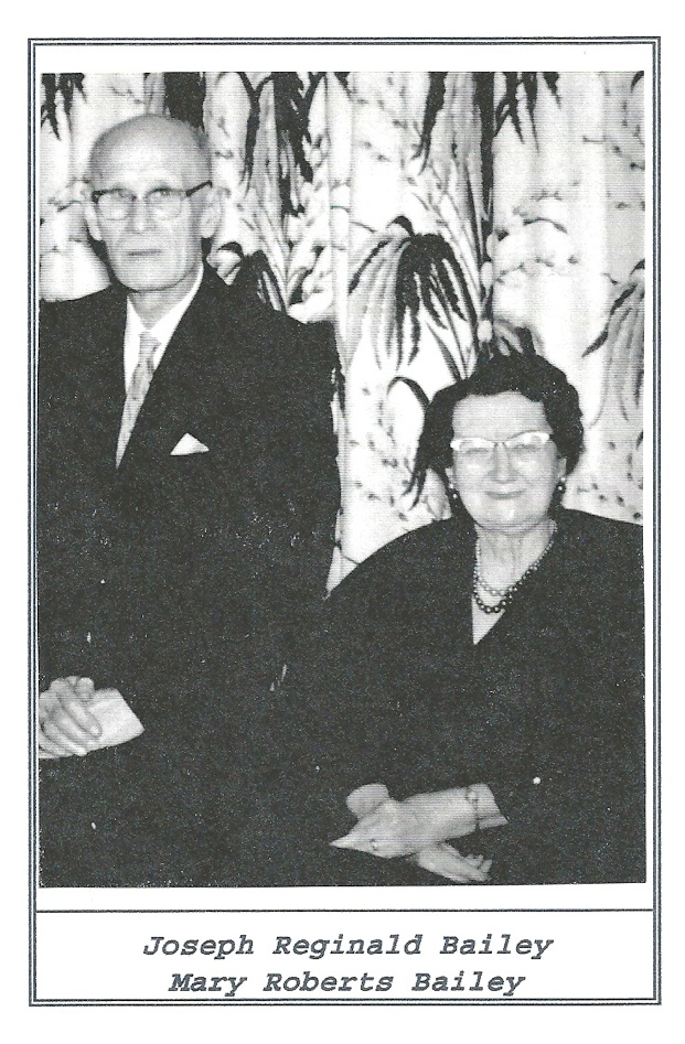 Stanley Park Train Christmas Pictures Wallpapers